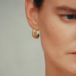 Daphine Ella earrings in gold with zirconia stones