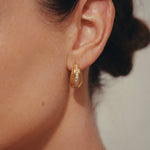 Daphine Ella earrings in gold with zirconia stones